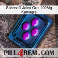 Sildenafil Oral Jelly 100Mg Kamagra 04